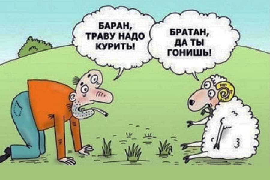 Тупые шутки